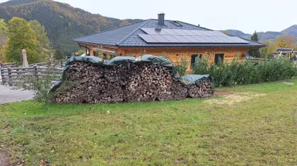 Brennholz-Scheiter