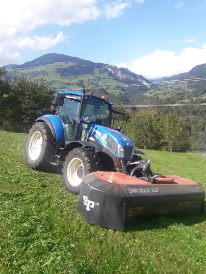 Sip Mähwerk Disc 300 F Alp