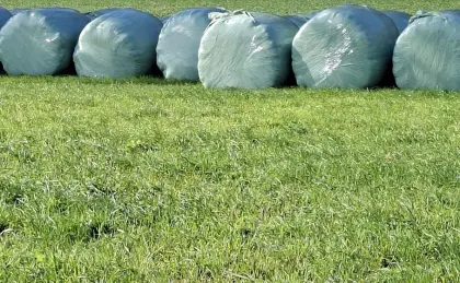 Bio-Silageballen