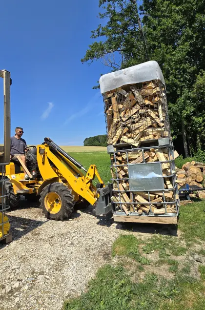 JCB 403