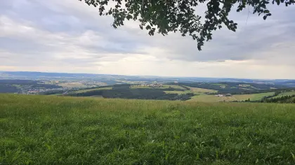 Suche Pachtfläche
