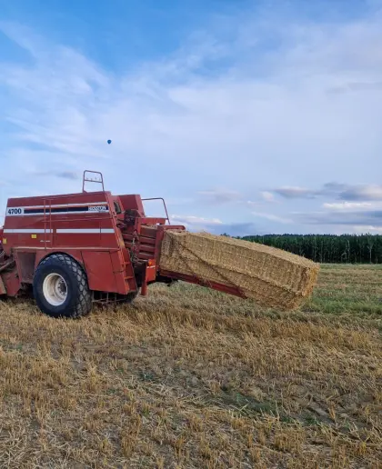 Hesston Snitter 4700 Quaderballenpresse