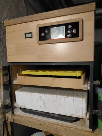 Brutautomat für 56 Eier
