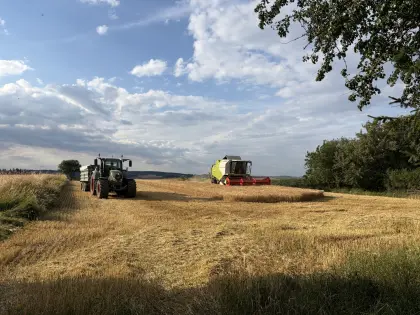 Landwirtschaftlicher Praktikumsplatz Sommer 2027