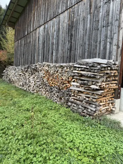 Brennholz