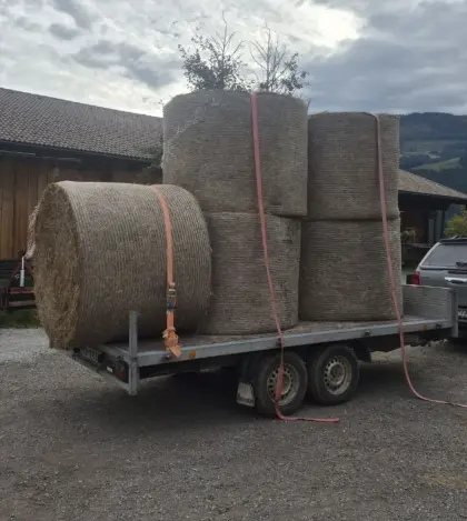 Heu