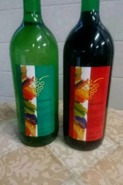 Grüner Veltliner und Zweigelt