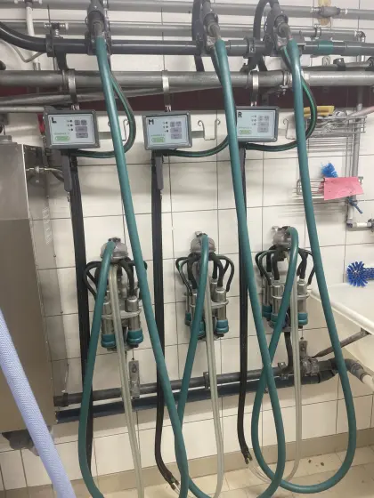 Westfalia Rohrmelkanlage Stimopuls C