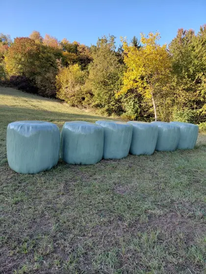 Grassiloballen