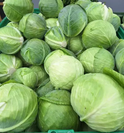 Weißkraut