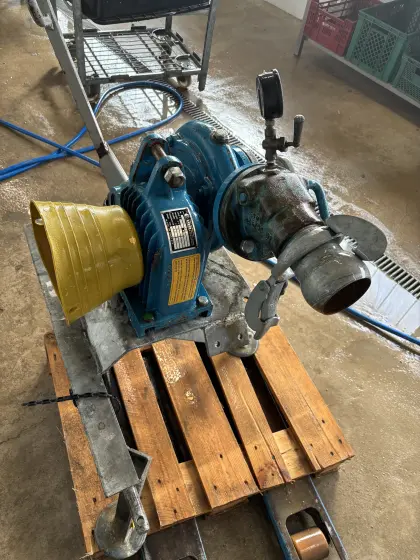 Wasserpumpe Bauer