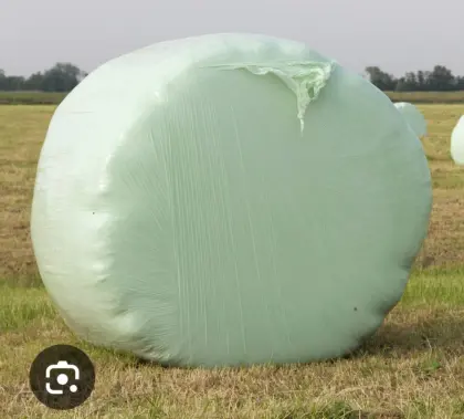 Gras-Silageballen