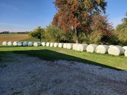 Verkaufe Maissilageballen