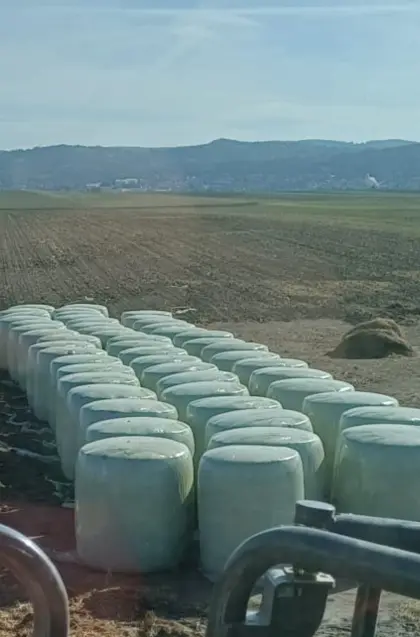 Maissilageballen 2026