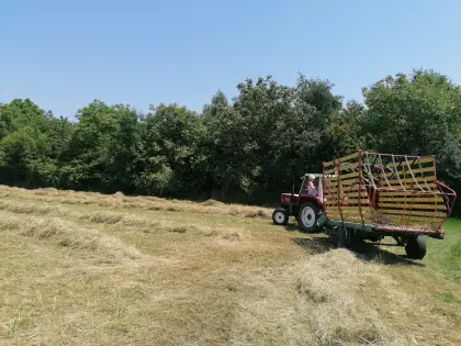 Steyr Hamster Ladewagen – sehr guter Zustand