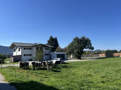 HF Kalbinnen
