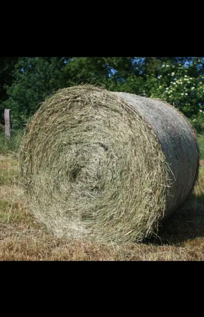 Suche Heuballen und Siloballen