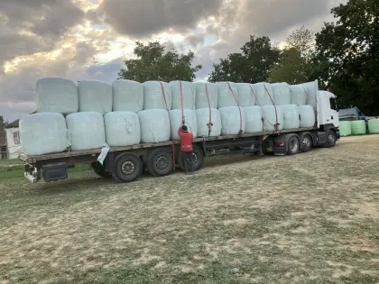 Maisballen von Ernte 2026 zu verkaufen (Silomais, Maissilage)