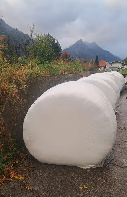 Bio Siloballen