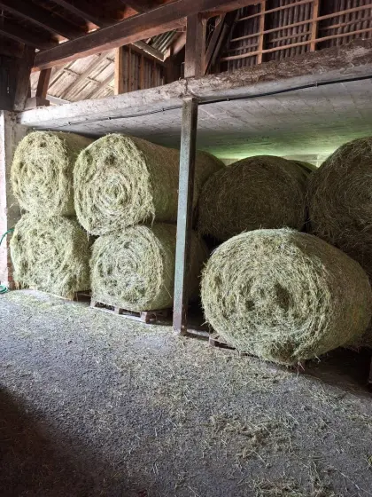 Quaderballen und Rundballen oder Luzerne, nur ganze LKW