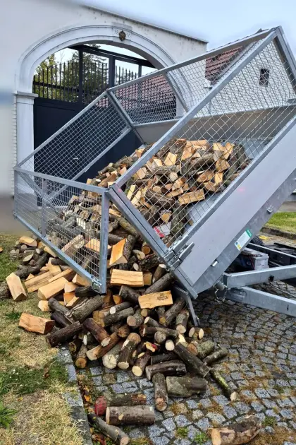 Brennholz trocken