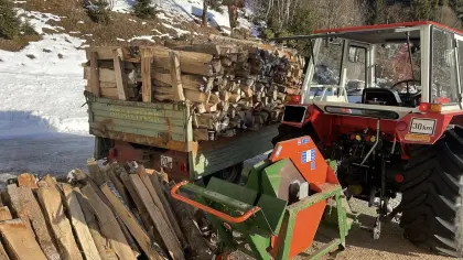 Brennholz, Hartholz