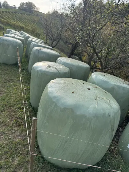 Bio Grassiloballen