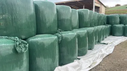Maissilageballen