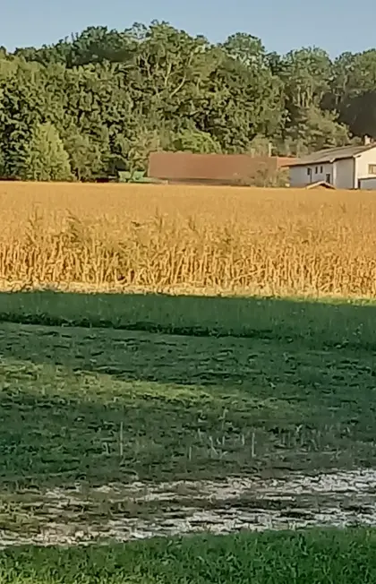 Ackergrund, ca. 3,0 bis 3,5 ha zu verkaufen