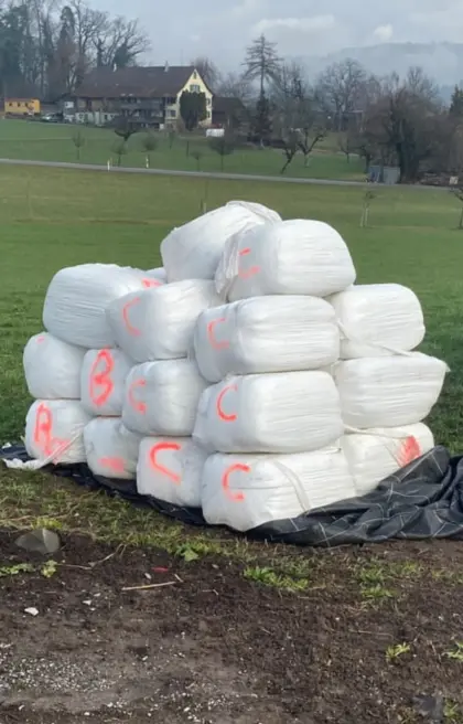 Suche kleine Grassiloballen