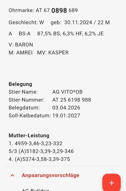 Kalbin zu verkaufen