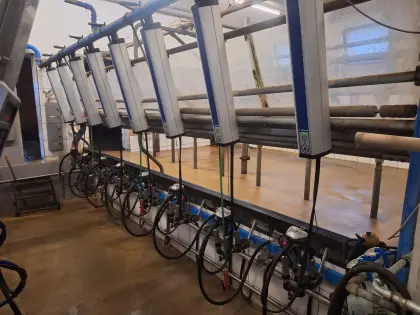 Melkstand DeLaval MP 400