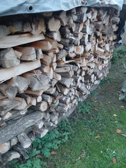 Brennholz