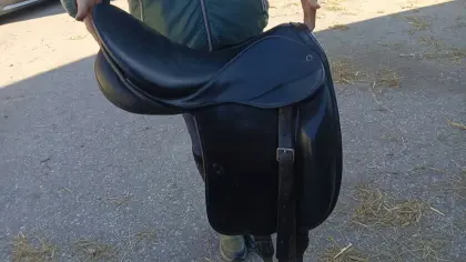 Stübben Dressursattel Excalibur