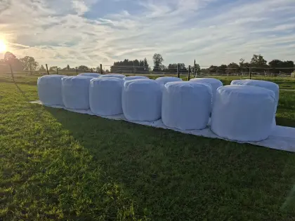 Siloballen