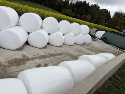 Musmais CCM Siloballen