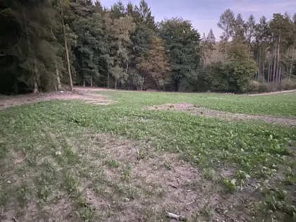 Suche Acker und Wald, auch Pachtflächen