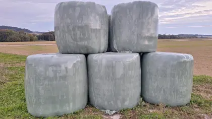 Silageballen