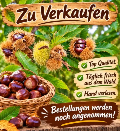 Edelkastanien