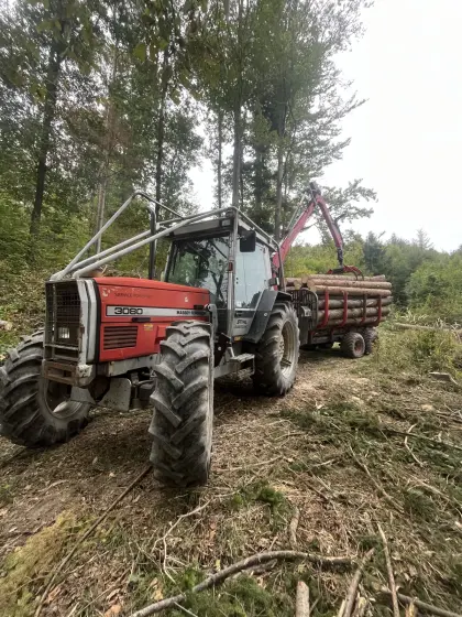 Massey Ferguson 3080 Forst, Krpan GP 8 DF