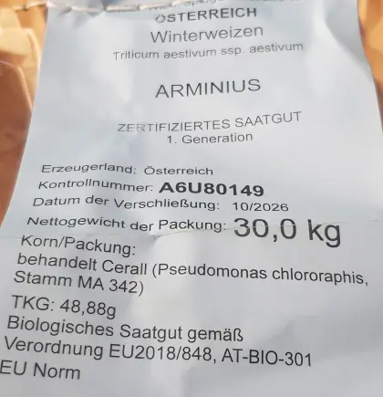 Bio-Winterweizen Arminius Saatgut