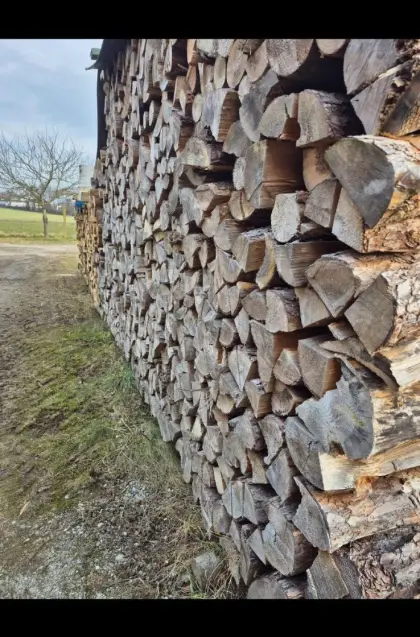 Brennholz