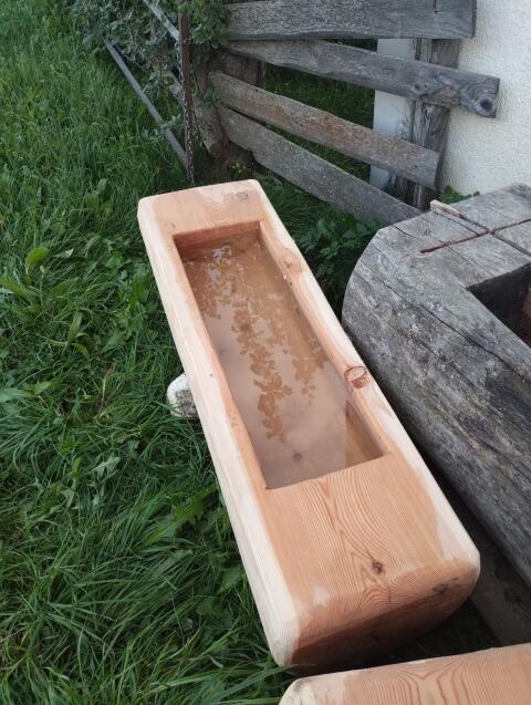 Brunntrog, Brunnentrog, Lärche