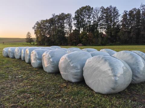 Siloballen (Gras)