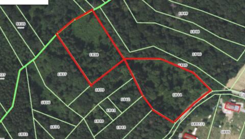 8.646 m² Mischwald in Neusiedl, Heutal, privat zu verkaufen.