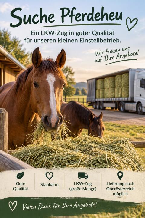 Suche Pferdeheu