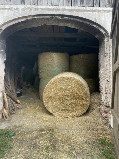 40 Bio-Triticale-Strohballen zu verkaufen