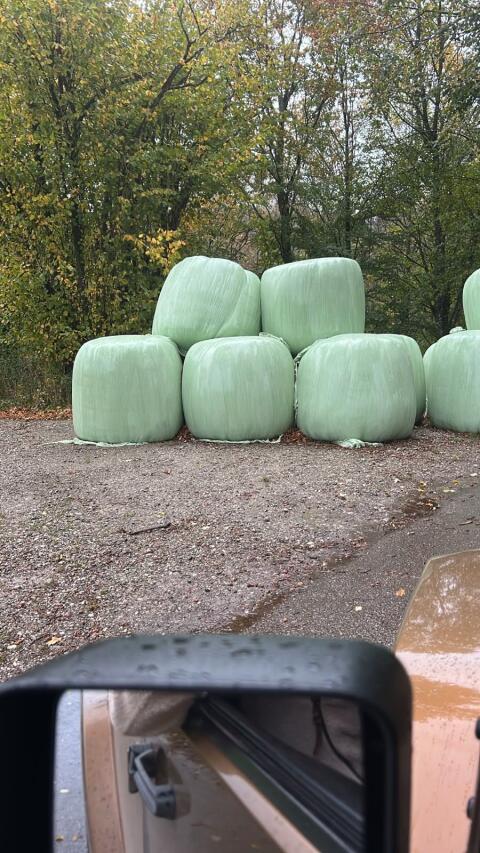 Siloballen zu verkaufen
