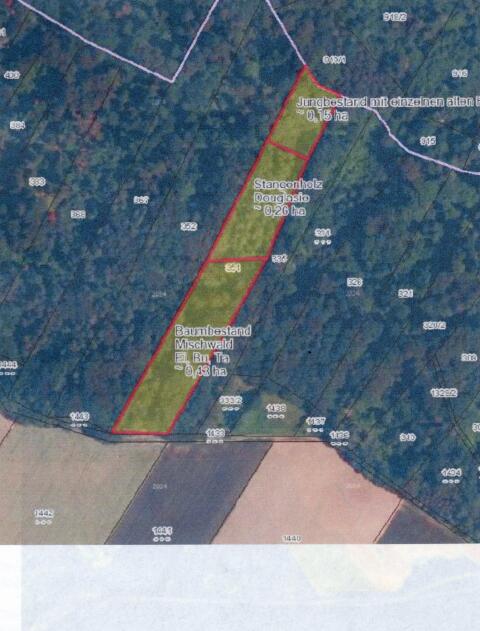 Wald 8.443 qm
