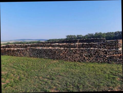 Brennholz
